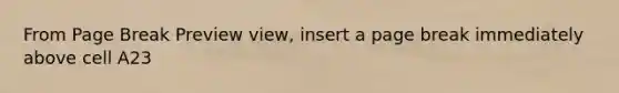 From Page Break Preview view, insert a page break immediately above cell A23