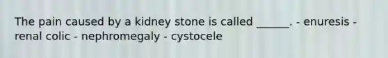 The pain caused by a kidney stone is called ______. - enuresis - renal colic - nephromegaly - cystocele