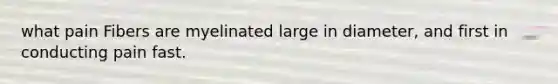 what pain Fibers are myelinated large in diameter, and first in conducting pain fast.