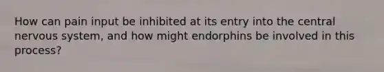 How can pain input be inhibited at its entry into the central nervous system, and how might endorphins be involved in this process?