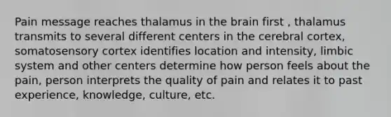 Pain message reaches thalamus in the brain first , thalamus transmits to several different centers in the cerebral cortex, somatosensory cortex identifies location and intensity, limbic system and other centers determine how person feels about the pain, person interprets the quality of pain and relates it to past experience, knowledge, culture, etc.