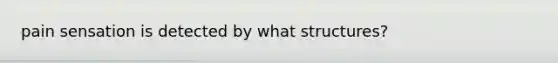 pain sensation is detected by what structures?