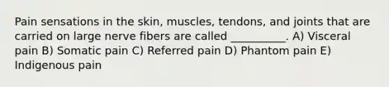 Pain sensations in the skin, muscles, tendons, and joints that are carried on large nerve fibers are called __________. A) Visceral pain B) Somatic pain C) Referred pain D) Phantom pain E) Indigenous pain