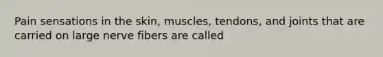 Pain sensations in the skin, muscles, tendons, and joints that are carried on large nerve fibers are called