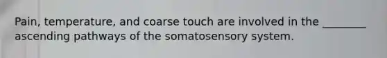 Pain, temperature, and coarse touch are involved in the ________ ascending pathways of the somatosensory system.