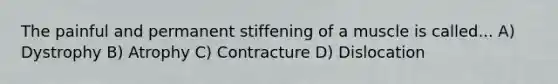 The painful and permanent stiffening of a muscle is called... A) Dystrophy B) Atrophy C) Contracture D) Dislocation