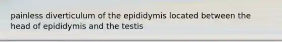 painless diverticulum of the epididymis located between the head of epididymis and the testis