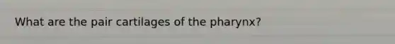 What are the pair cartilages of the pharynx?