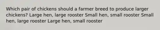 Which pair of chickens should a farmer breed to produce larger chickens? Large hen, large rooster Small hen, small rooster Small hen, large rooster Large hen, small rooster