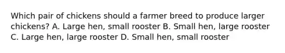 Which pair of chickens should a farmer breed to produce larger chickens? A. Large hen, small rooster B. Small hen, large rooster C. Large hen, large rooster D. Small hen, small rooster