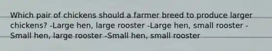 Which pair of chickens should a farmer breed to produce larger chickens? -Large hen, large rooster -Large hen, small rooster -Small hen, large rooster -Small hen, small rooster