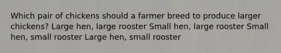 Which pair of chickens should a farmer breed to produce larger chickens? Large hen, large rooster Small hen, large rooster Small hen, small rooster Large hen, small rooster