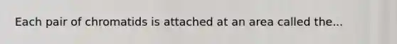 Each pair of chromatids is attached at an area called the...