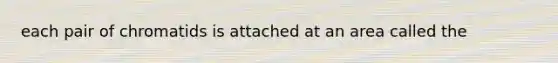 each pair of chromatids is attached at an area called the