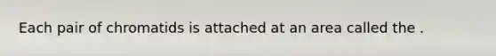 Each pair of chromatids is attached at an area called the .