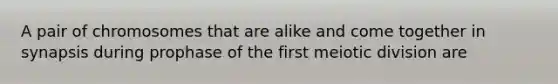 A pair of chromosomes that are alike and come together in synapsis during prophase of the first meiotic division are