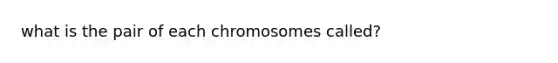 what is the pair of each chromosomes called?