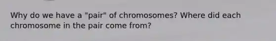 Why do we have a "pair" of chromosomes? Where did each chromosome in the pair come from?