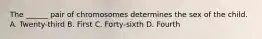 The ______ pair of chromosomes determines the sex of the child. A. Twenty-third B. First C. Forty-sixth D. Fourth