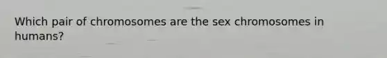 Which pair of chromosomes are the sex chromosomes in humans?