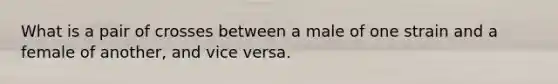 What is a pair of crosses between a male of one strain and a female of another, and vice versa.