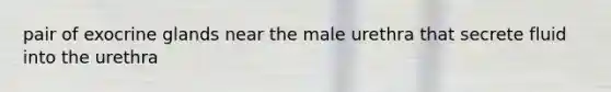 pair of exocrine glands near the male urethra that secrete fluid into the urethra