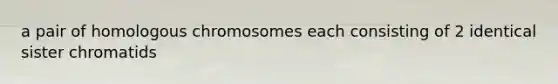 a pair of homologous chromosomes each consisting of 2 identical sister chromatids