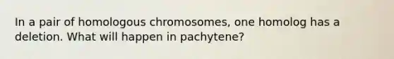 In a pair of homologous chromosomes, one homolog has a deletion. What will happen in pachytene?