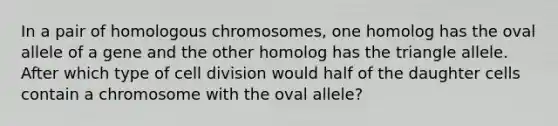 In a pair of homologous chromosomes, one homolog has the oval allele of a gene and the other homolog has the triangle allele. After which type of <a href='https://www.questionai.com/knowledge/kjHVAH8Me4-cell-division' class='anchor-knowledge'>cell division</a> would half of the daughter cells contain a chromosome with the oval allele?