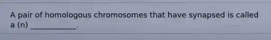 A pair of homologous chromosomes that have synapsed is called a (n) ____________.