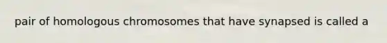 pair of homologous chromosomes that have synapsed is called a