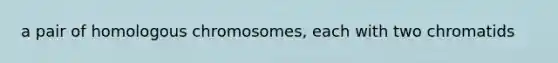 a pair of homologous chromosomes, each with two chromatids