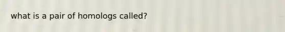 what is a pair of homologs called?