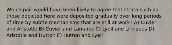 Which pair would have been likely to agree that strata such as those depicted here were deposited gradually over long periods of time by subtle mechanisms that are still at work? A) Cuvier and Aristotle B) Cuvier and Lamarck C) Lyell and Linnaeus D) Aristotle and Hutton E) Hutton and Lyell