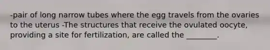 -pair of long narrow tubes where the egg travels from the ovaries to the uterus -The structures that receive the ovulated oocyte, providing a site for fertilization, are called the ________.