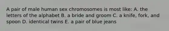 A pair of male human sex chromosomes is most like: A. the letters of the alphabet B. a bride and groom C. a knife, fork, and spoon D. identical twins E. a pair of blue jeans