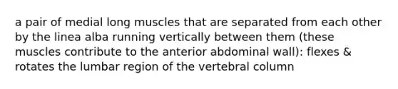 a pair of medial long muscles that are separated from each other by the linea alba running vertically between them (these muscles contribute to the anterior abdominal wall): flexes & rotates the lumbar region of the vertebral column