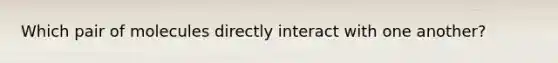 Which pair of molecules directly interact with one another?