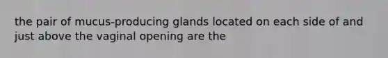 the pair of mucus-producing glands located on each side of and just above the vaginal opening are the