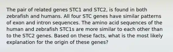 The pair of related genes STC1 and STC2, is found in both zebrafish and humans. All four STC genes have similar patterns of exon and intron sequences. The amino acid sequences of the human and zebrafish STC1s are more similar to each other than to the STC2 genes. Based on these facts, what is the most likely explanation for the origin of these genes?