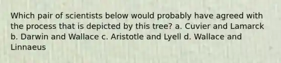 Which pair of scientists below would probably have agreed with the process that is depicted by this tree? a. Cuvier and Lamarck b. Darwin and Wallace c. Aristotle and Lyell d. Wallace and Linnaeus