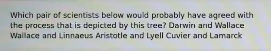 Which pair of scientists below would probably have agreed with the process that is depicted by this tree? Darwin and Wallace Wallace and Linnaeus Aristotle and Lyell Cuvier and Lamarck