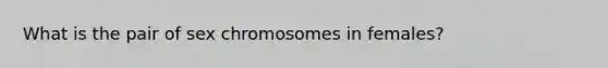 What is the pair of sex chromosomes in females?