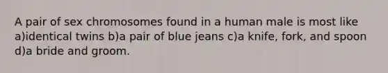 A pair of sex chromosomes found in a human male is most like a)identical twins b)a pair of blue jeans c)a knife, fork, and spoon d)a bride and groom.