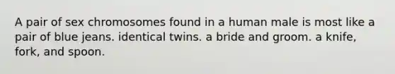 A pair of sex chromosomes found in a human male is most like a pair of blue jeans. identical twins. a bride and groom. a knife, fork, and spoon.