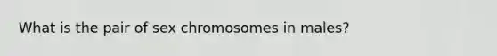 What is the pair of sex chromosomes in males?