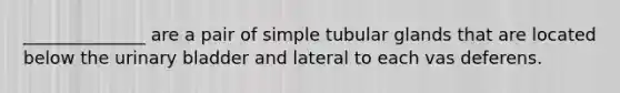 ______________ are a pair of simple tubular glands that are located below the urinary bladder and lateral to each vas deferens.