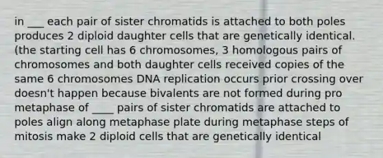 in ___ each pair of sister chromatids is attached to both poles produces 2 diploid daughter cells that are genetically identical. (the starting cell has 6 chromosomes, 3 homologous pairs of chromosomes and both daughter cells received copies of the same 6 chromosomes DNA replication occurs prior crossing over doesn't happen because bivalents are not formed during pro metaphase of ____ pairs of sister chromatids are attached to poles align along metaphase plate during metaphase steps of mitosis make 2 diploid cells that are genetically identical