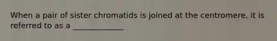 When a pair of sister chromatids is joined at the centromere, it is referred to as a _____________