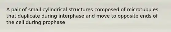 A pair of small cylindrical structures composed of microtubules that duplicate during interphase and move to opposite ends of the cell during prophase